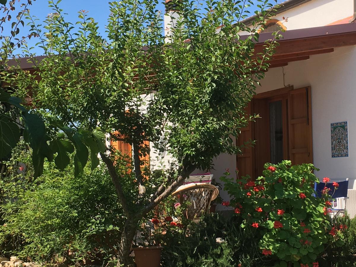 Uliveto House Bed & Breakfast Кастеламаре дел Голфо Екстериор снимка